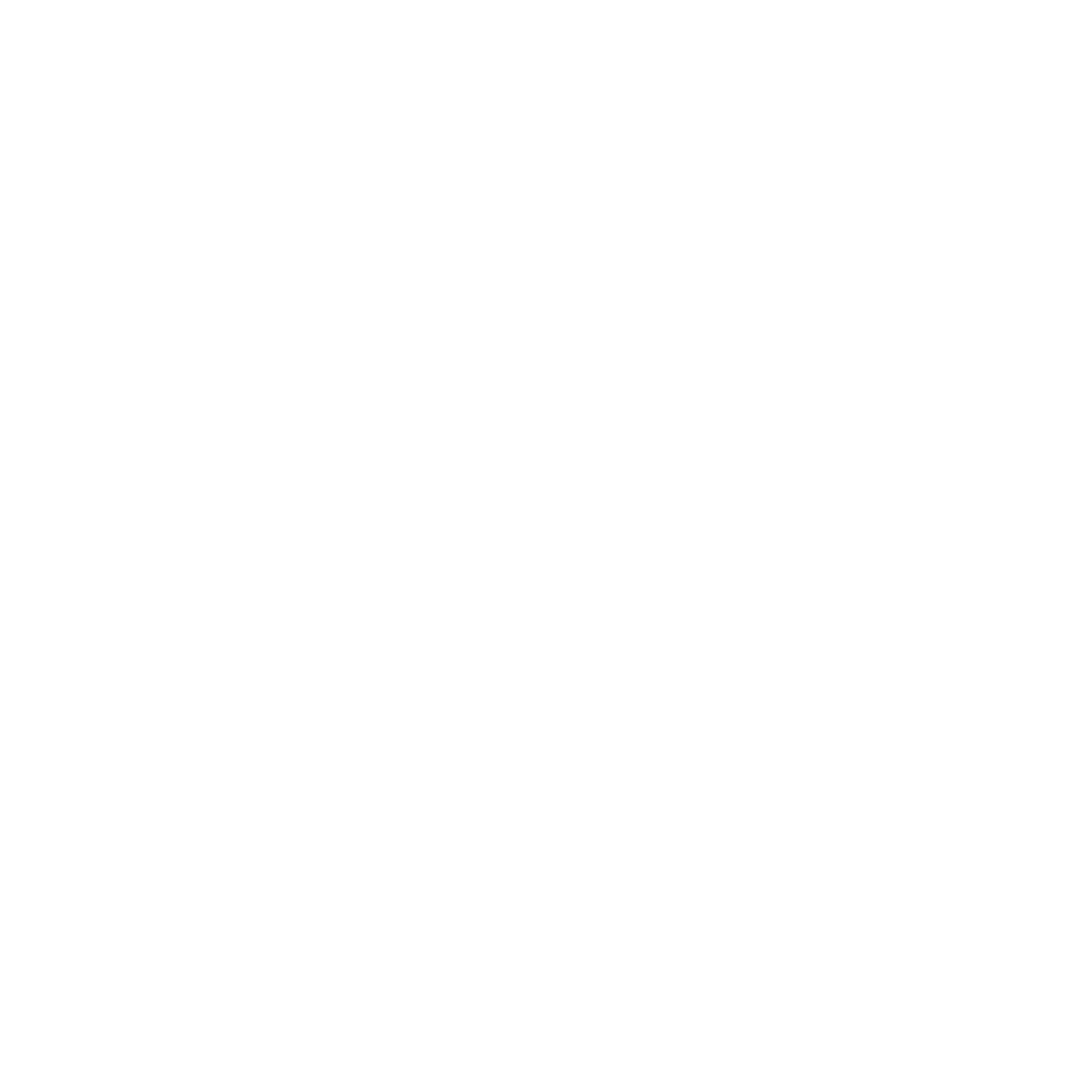 NVS Creative logo
