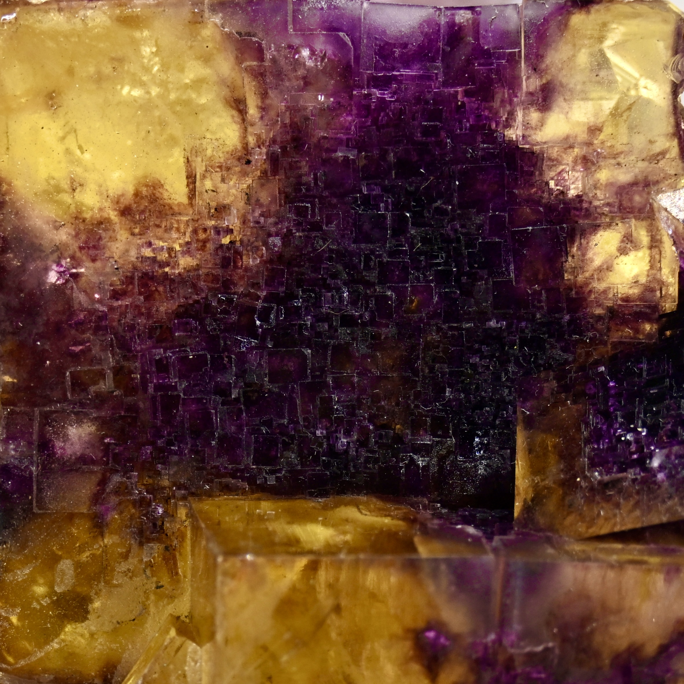 Nature 03