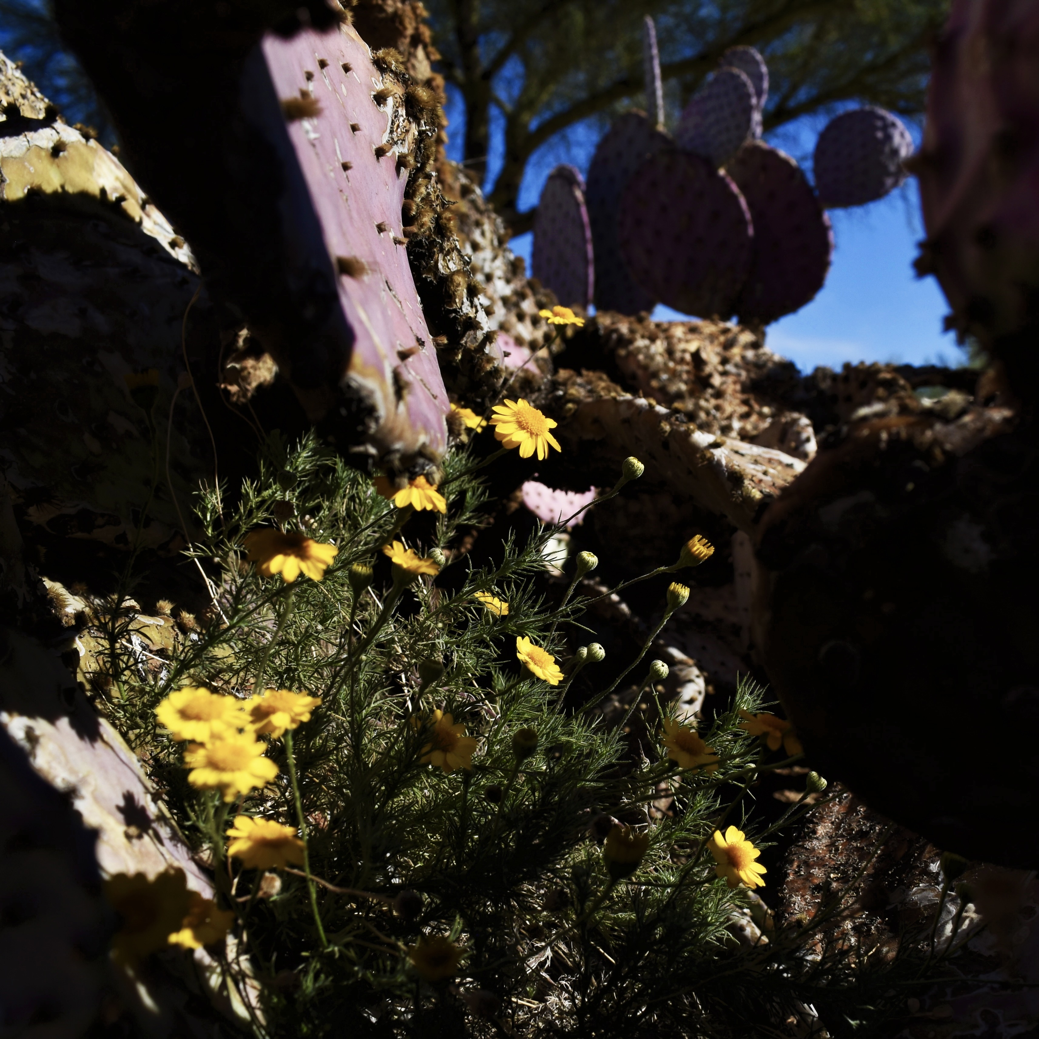 Nature 02
